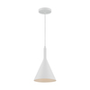 Nuvo Fixture, Pendant, 1-Light, Incandescent, 60W, 120V, A19, Medium Base, Height: 12.50 60/7137